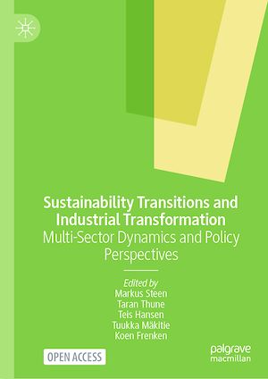 Download the eBook: Sustainability Transitions and Industrial Transformation