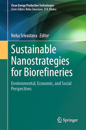 Téléchargez le livre :  Sustainable Nanostrategies for Biorefineries