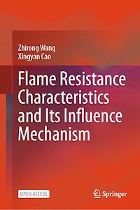 Téléchargez le livre :  Flame Resistance Characteristics and Its Influence Mechanism