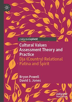 Téléchargez le livre :  Cultural Values Assessment Theory and Practice