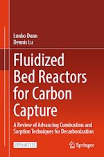 Download this eBook Fluidized Bed Reactors for Carbon Capture