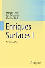 Télécharger le livre :  Enriques Surfaces I