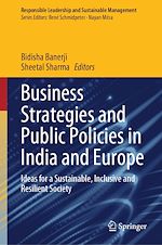 Télécharger le livre :  Business Strategies and Public Policies in India and Europe