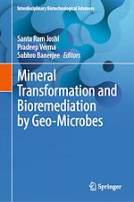 Télécharger le livre :  Mineral Transformation and Bioremediation by Geo-Microbes