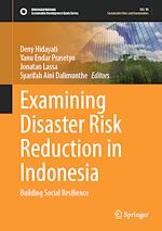 Télécharger le livre :  Examining Disaster Risk Reduction in Indonesia