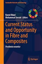 Télécharger le livre :  Current Status and Opportunity in Fibre and Composites