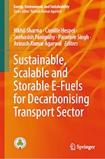 Télécharger le livre :  Sustainable, Scalable and Storable E-Fuels for Decarbonising Transport Sector
