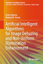 Télécharger le livre :  Artificial Intelligent Algorithms for Image Dehazing and Non-Uniform Illumination Enhancement