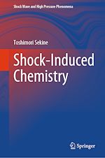 Télécharger le livre :  Shock-Induced Chemistry