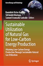 Télécharger le livre :  Sustainable Utilization of Natural Gas for Low-Carbon Energy Production