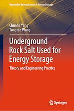 Télécharger le livre :  Underground Rock Salt Used for Energy Storage