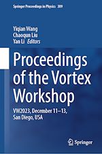 Télécharger le livre :  Proceedings of the Vortex Workshop