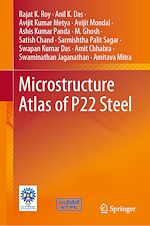 Télécharger le livre :  Microstructure Atlas of P22 Steel
