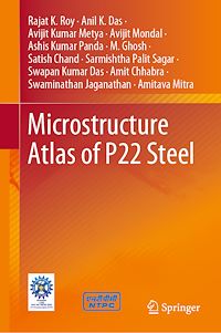 Télécharger le livre :  Microstructure Atlas of P22 Steel