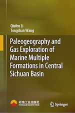 Télécharger le livre :  Paleogeography and Gas Exploration of Marine Multiple Formations in Central Sichuan Basin