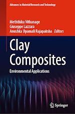 Télécharger le livre :  Clay Composites