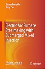 Télécharger le livre :  Electric Arc Furnace Steelmaking with Submerged Mixed Injection