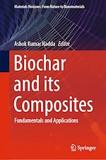 Télécharger le livre :  Biochar and its Composites