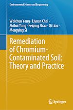 Télécharger le livre :  Remediation of Chromium-Contaminated Soil: ?Theory and Practice?