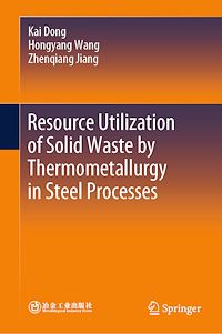 Télécharger le livre :  Resource Utilization of Solid Waste by Thermometallurgy in Steel Processes