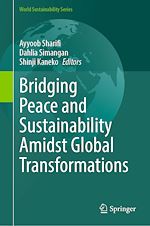 Télécharger le livre :  Bridging Peace and Sustainability Amidst Global Transformations