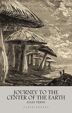 Download this eBook Journey to the Center of the Earth