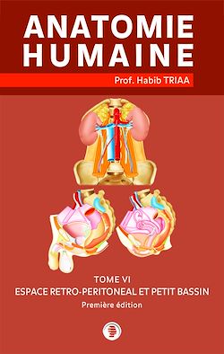 Télécharger le livre :  Anatomie de l’espace rétro-péritonéal et du petit bassin