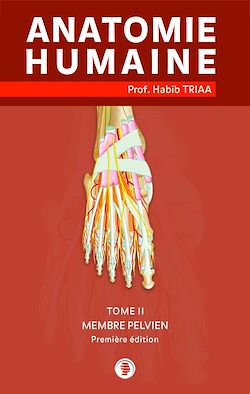 Télécharger le livre :  Anatomie du membre pelvien