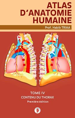 Télécharger le livre :  Atlas d’anatomie du contenu du thorax