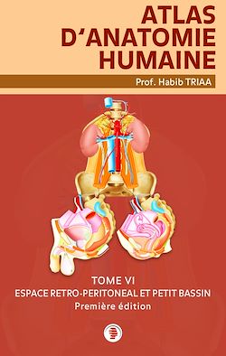 Télécharger le livre :  Atlas d’anatomie de l’espace rétro-péritonéal et du petit bassin