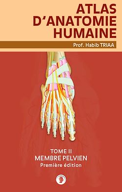 Télécharger le livre :  Atlas d’anatomie du membre pelvien