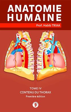 Télécharger le livre :  Anatomie du contenu du thorax