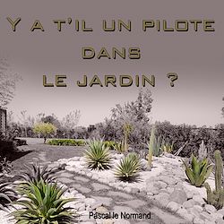 Télécharger le livre :  Y a-t-il un pilote dans le jardin ?