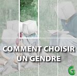 Télécharger le livre :  Comment choisir un gendre
