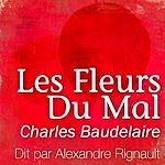 Télécharger le livre :  Les Fleurs du Mal