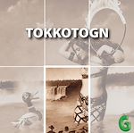 Télécharger le livre :  Tokkotogn