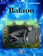Télécharger le livre :  Balaoo
