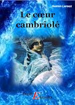 Télécharger le livre :  Le cœur cambriolé