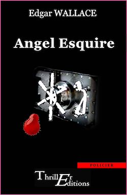 Télécharger le livre :  Angel Esquire