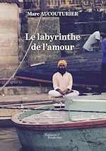 Télécharger le livre :  Le labyrinthe de l'amour