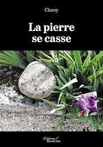 Download this eBook La pierre se casse