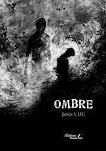 Download this eBook Ombre