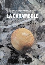 Download this eBook La carambole