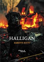 Download this eBook Halligan