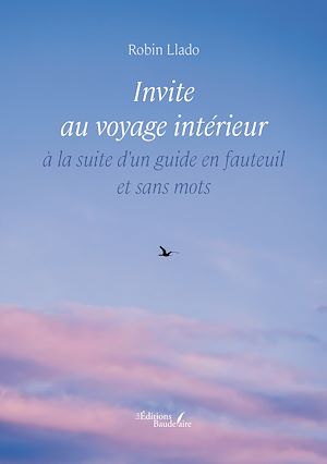 Téléchargez le livre :  Invite au voyage intérieur à la suite d'un guide en fauteuil et sans mots