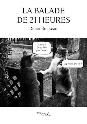 Téléchargez le livre :  La balade de 21 heures