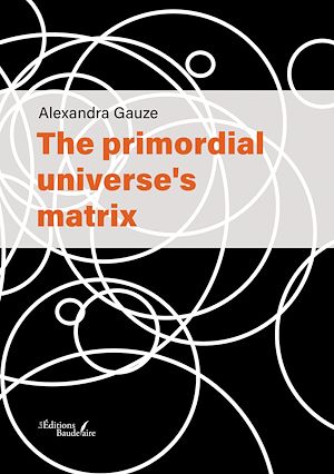 Téléchargez le livre :  The primordial universe's matrix