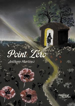 Téléchargez le livre :  Point Zéro