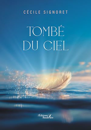 Téléchargez le livre :  Tombé du ciel