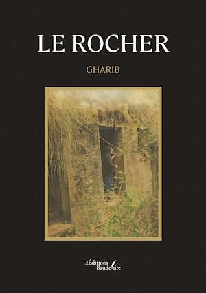 Download the eBook: Le rocher